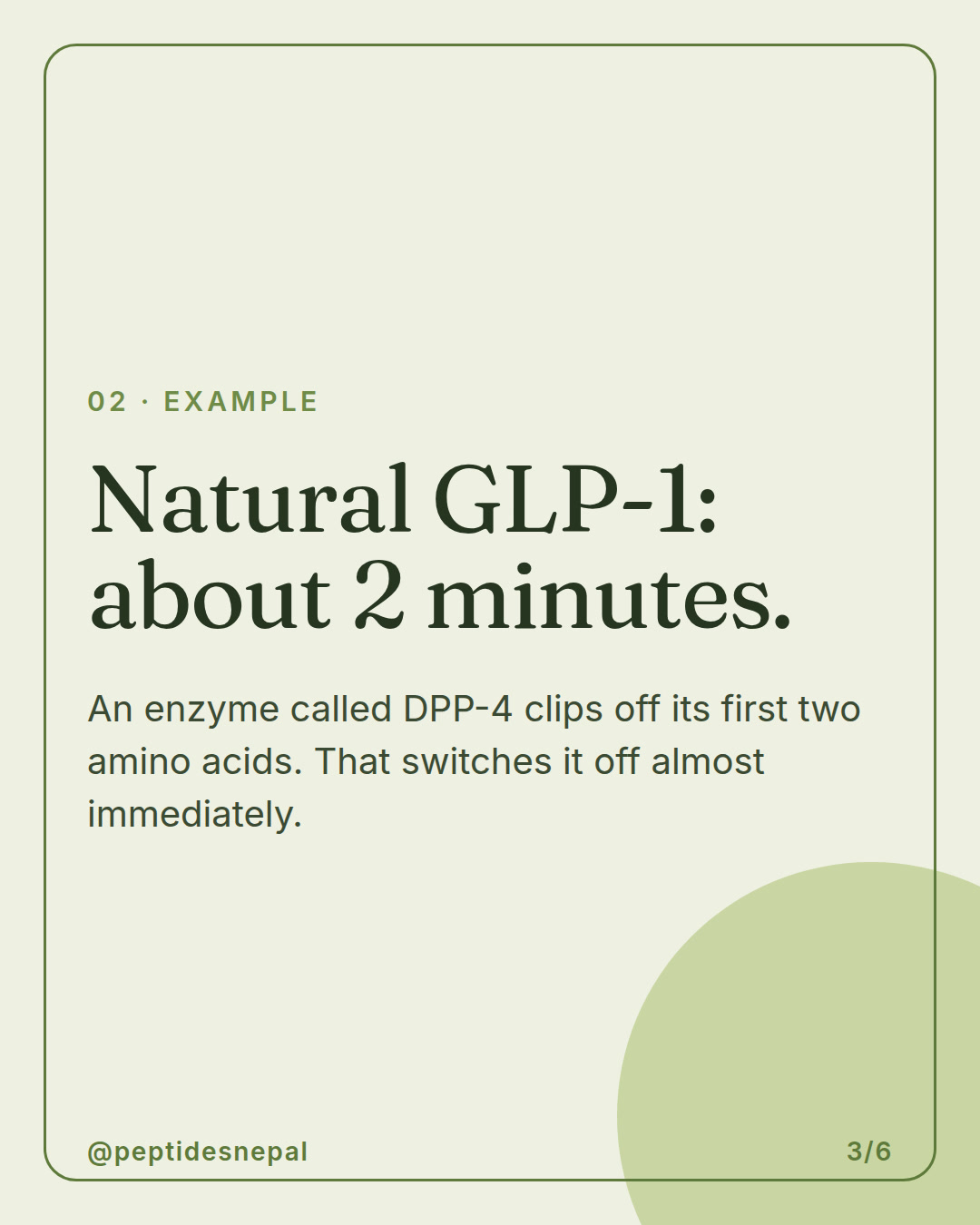 Slide 3 of 6: Why do natural peptides vanish in minutes?