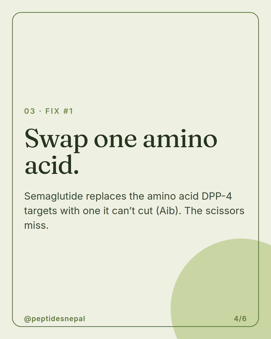Slide 4 of 6: Why do natural peptides vanish in minutes?