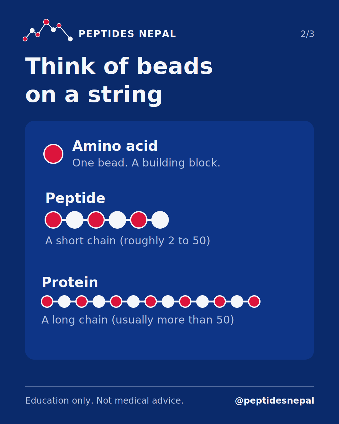 Slide 2 of 3: What are peptides?
