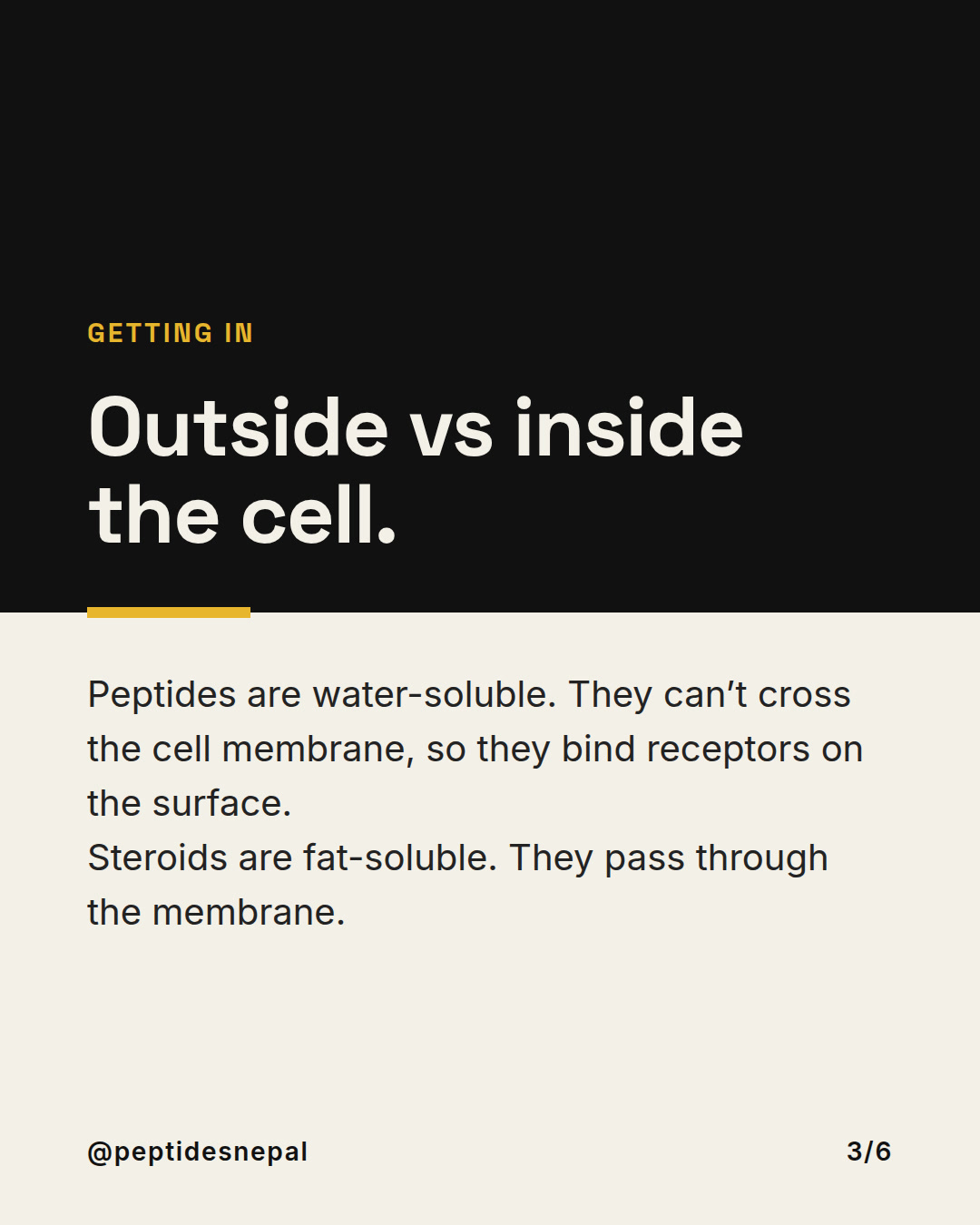 Slide 3 of 6: Peptide vs steroid — how they signal differently