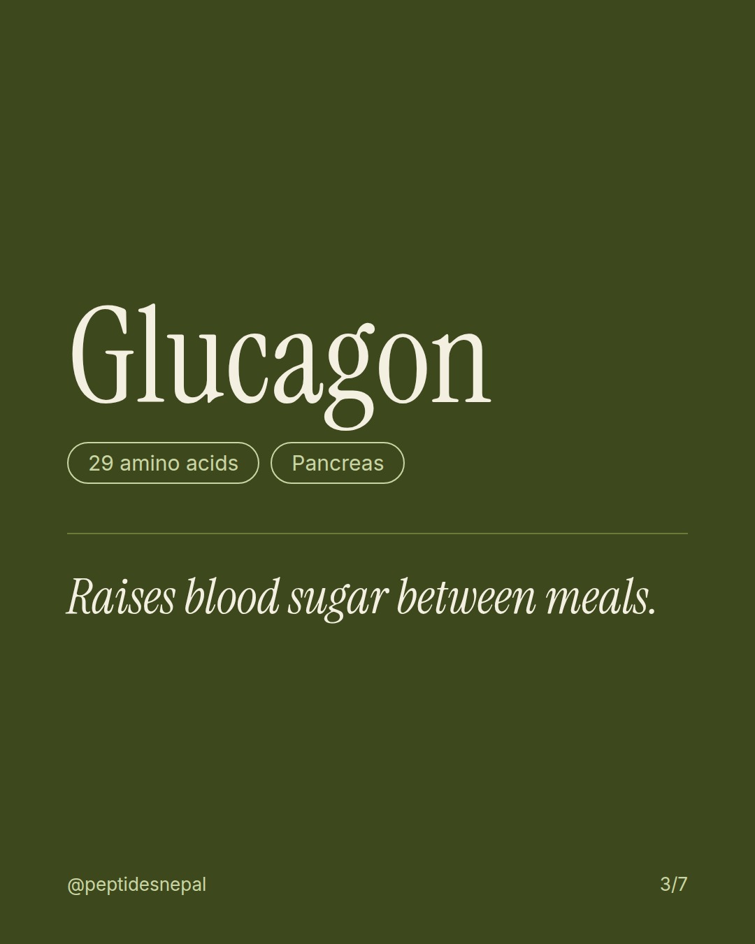 Glucagon, 29 amino acids, Pancreas. Raises blood sugar between meals.