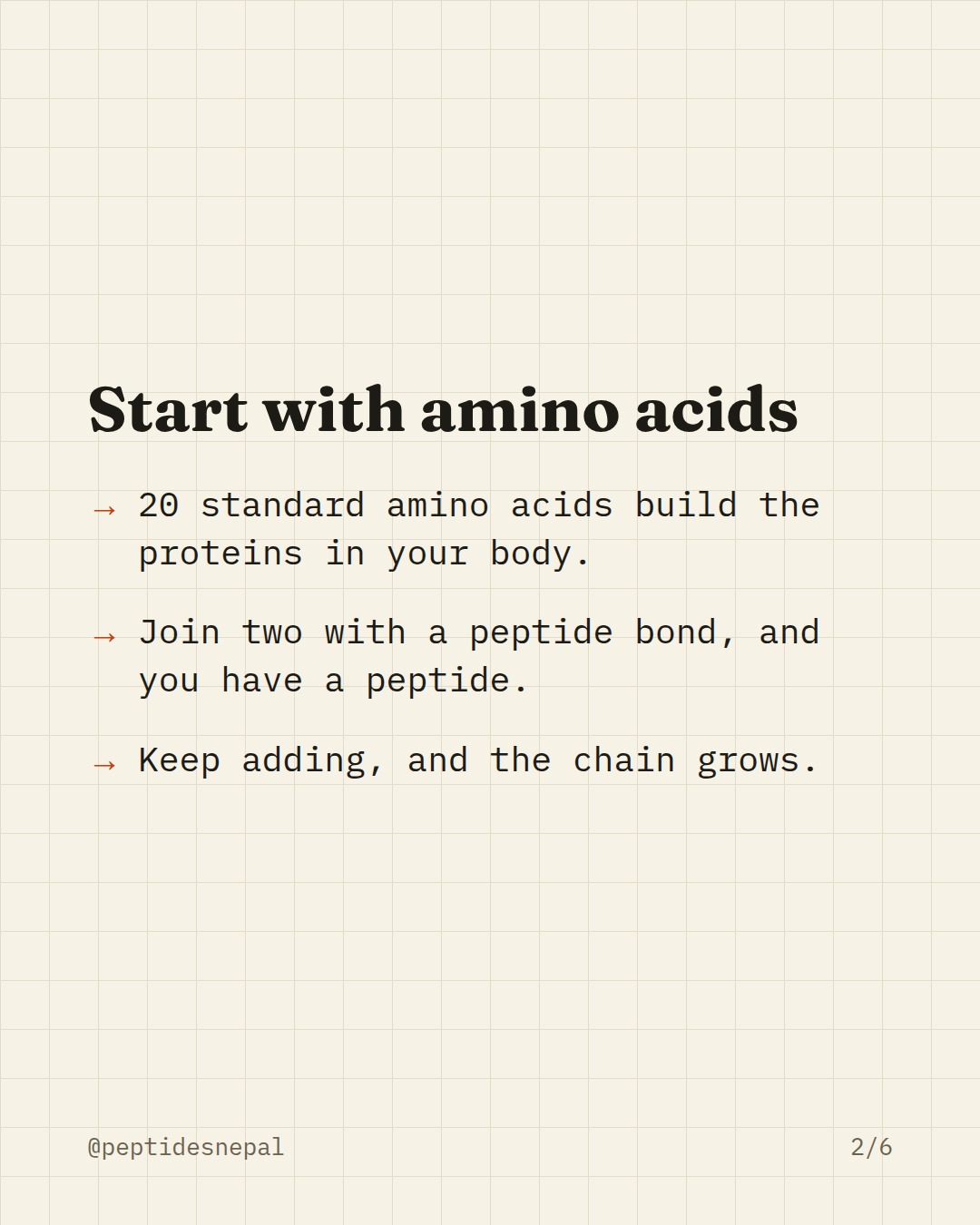 Start with amino acids. 20 standard amino acids build the proteins in your body. Join two with a peptide bond, and you have a peptide. Keep adding, and the chain grows.