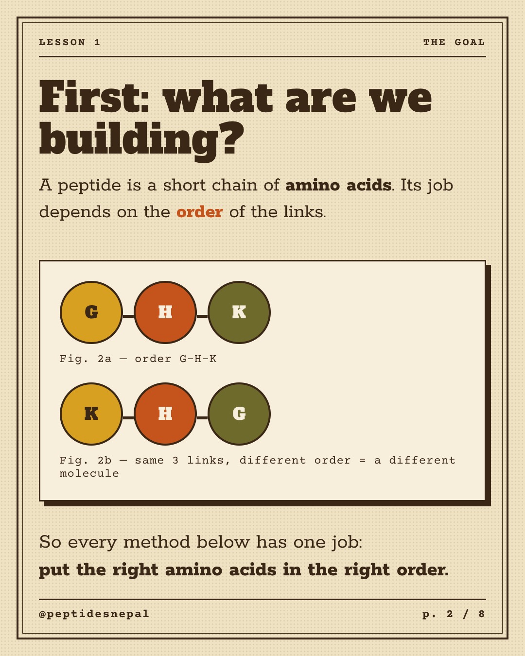 Lesson 1: First, what are we building? A peptide is a short chain of amino acids and its job depends on the order. Diagram: G-H-K versus K-H-G, same links, different molecule.