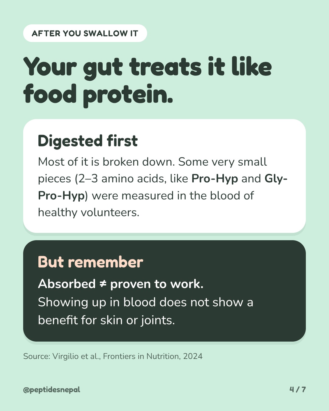 Your gut treats it like food protein. Most is digested; small pieces like Pro-Hyp and Gly-Pro-Hyp were measured in blood. Absorbed does not mean proven to work.