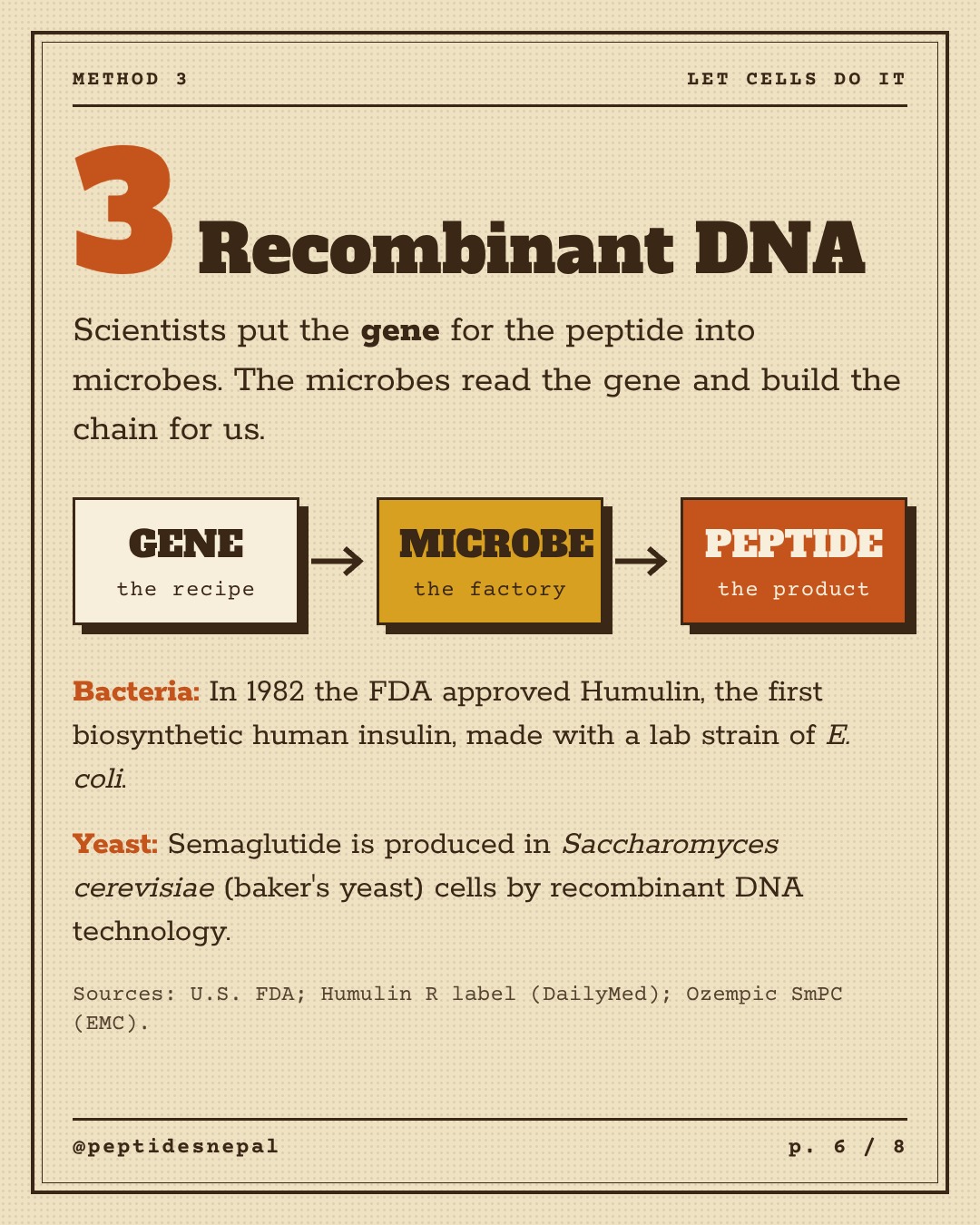 Method 3: Recombinant DNA. Gene, then microbe, then peptide. Humulin, the first biosynthetic human insulin, approved by FDA in 1982 using E. coli. Semaglutide is produced in baker's yeast cells.