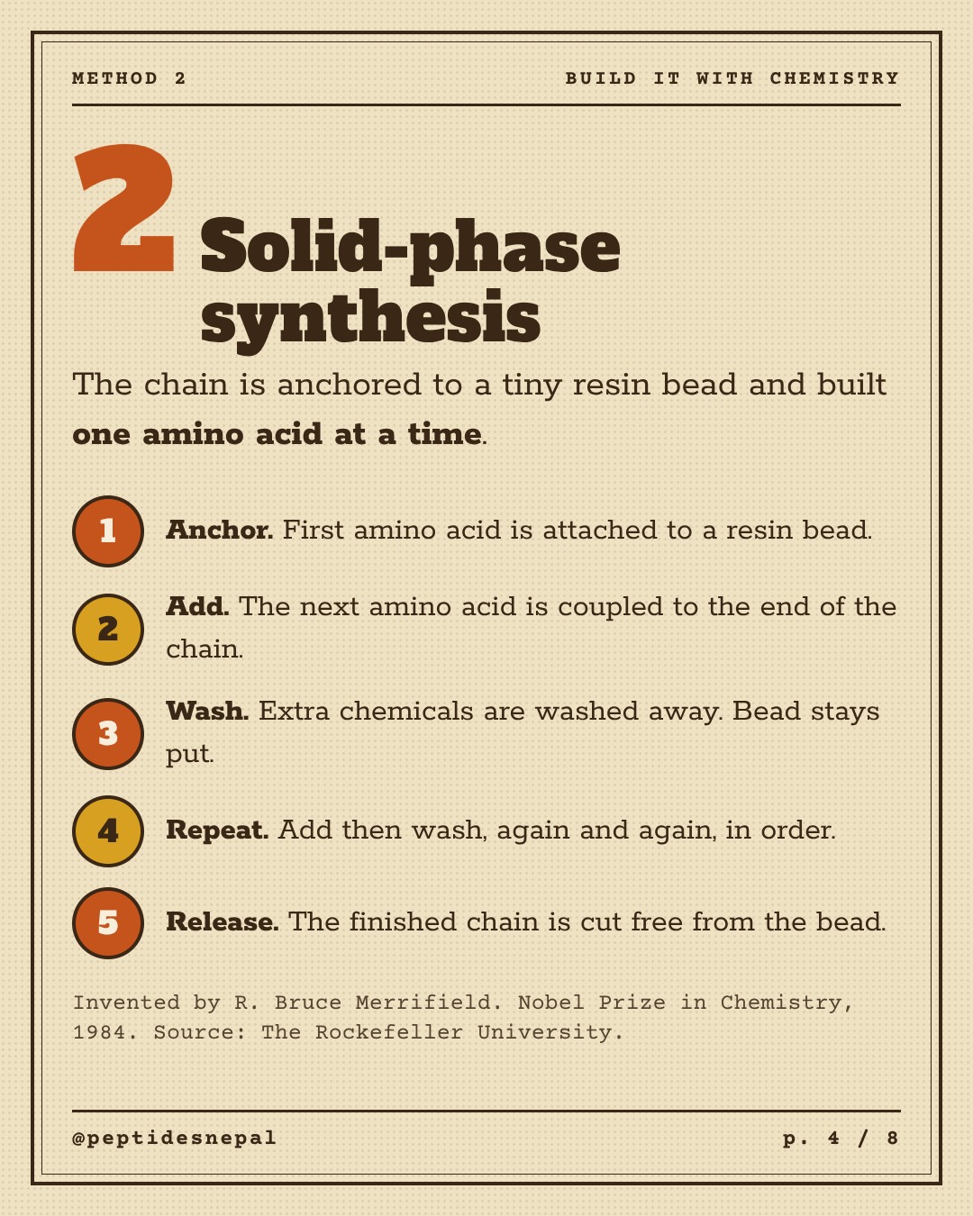 Method 2: Solid-phase synthesis. Five steps: anchor to a resin bead, add the next amino acid, wash, repeat, release. Invented by Bruce Merrifield, Nobel Prize in Chemistry 1984.
