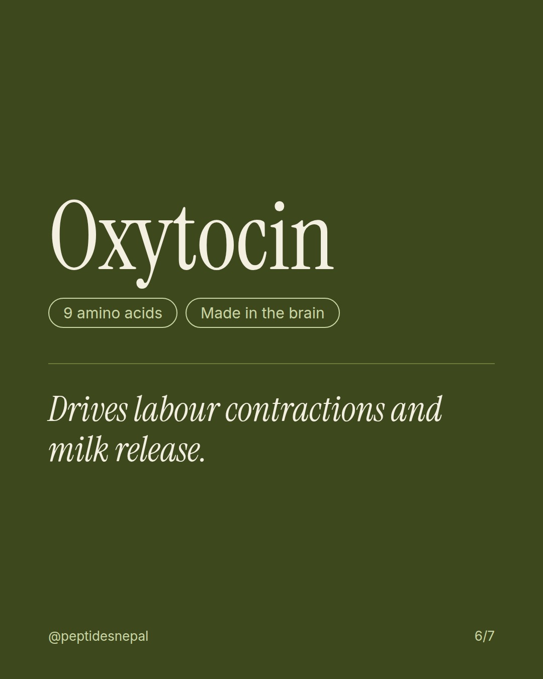 Oxytocin, 9 amino acids, Made in the brain. Drives labour contractions and milk release.