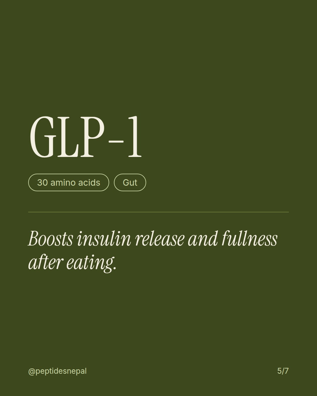GLP-1, 30 amino acids, Gut. Boosts insulin release and fullness after eating.