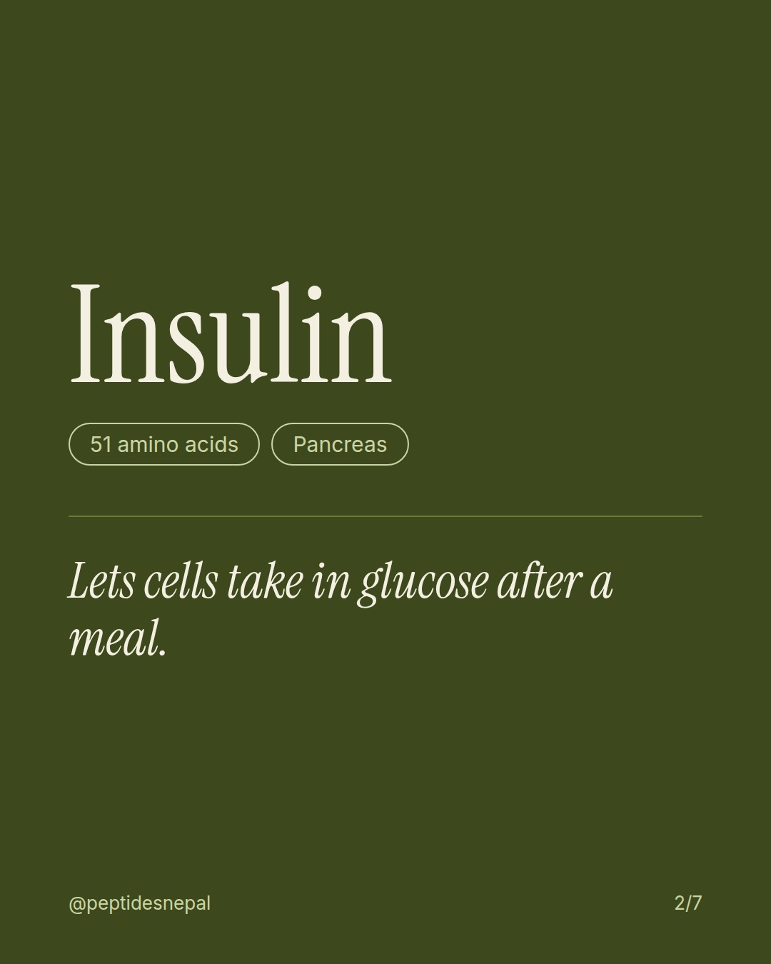 Insulin, 51 amino acids, Pancreas. Lets cells take in glucose after a meal.