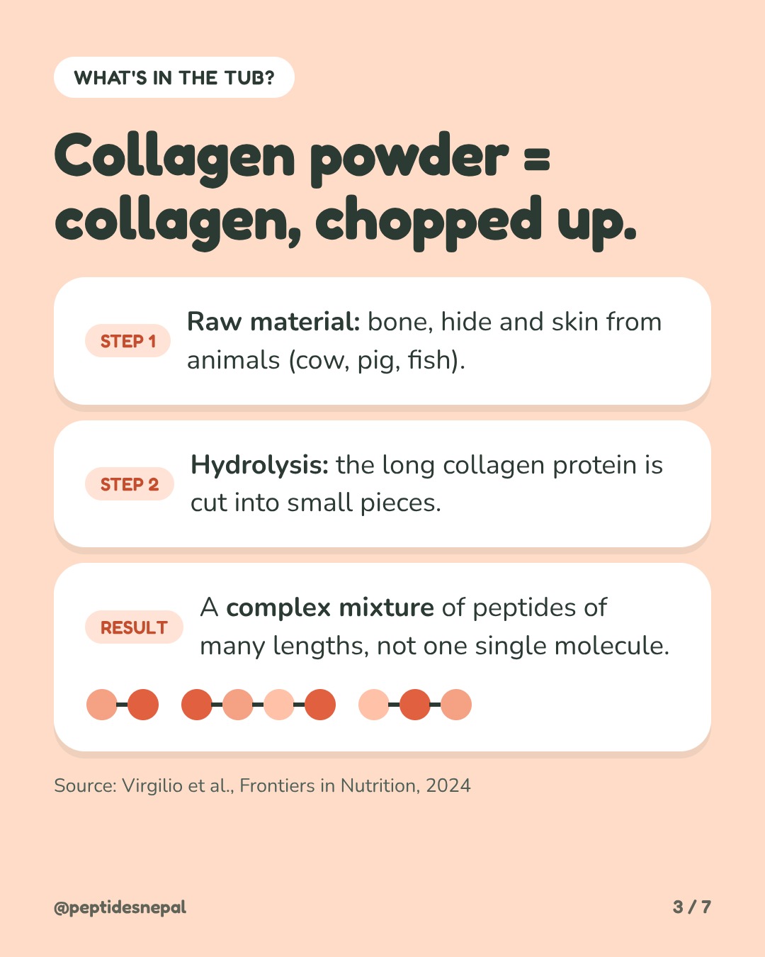Collagen powder is collagen, chopped up. Step 1: bone, hide and skin from cows, pigs or fish. Step 2: hydrolysis cuts the protein into small pieces. Result: a complex mixture of peptides of many lengths.