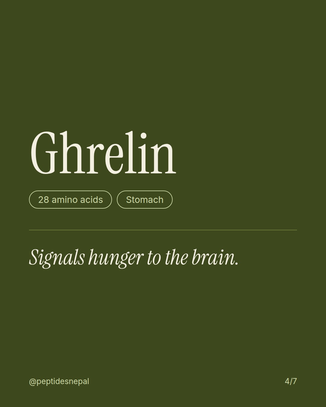 Ghrelin, 28 amino acids, Stomach. Signals hunger to the brain.